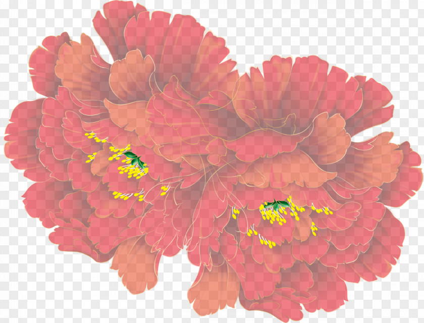Poppy Cut Flowers Floral Design Transvaal Daisy Peony PNG