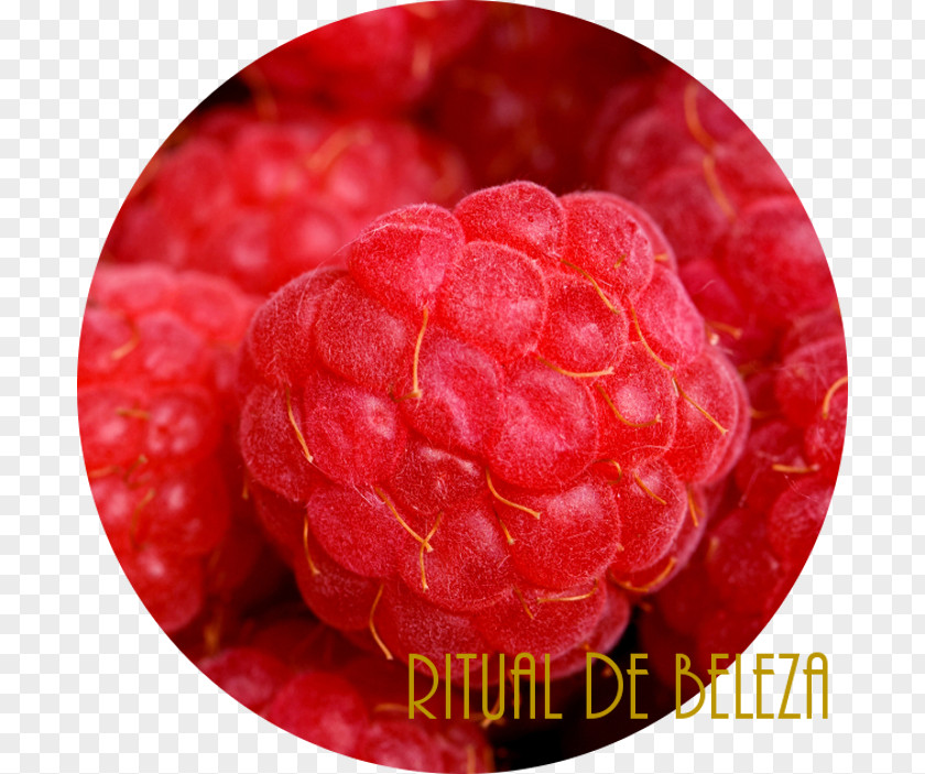 Raspberry Loganberry Boysenberry Tayberry PNG