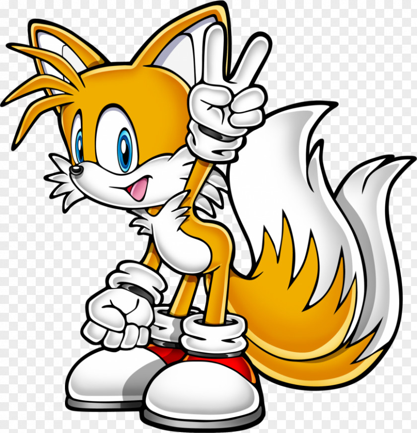 Sonic Advance 2 The Hedgehog Tails Chaos PNG