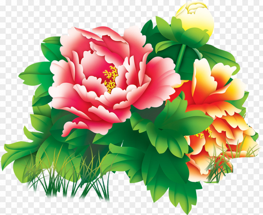 Succeeding Peony Design Image PNG