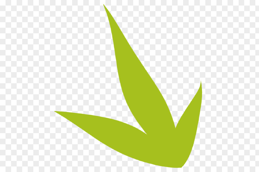 Wix.com Website Builder Leaf Logo PNG