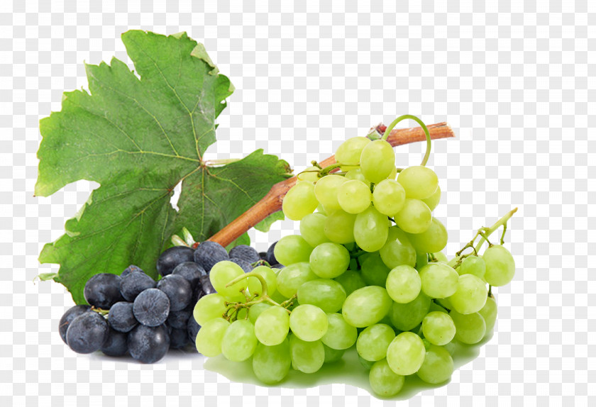 Black Summer Foliage Green Grapes Apple Juice Common Grape Vine Must PNG
