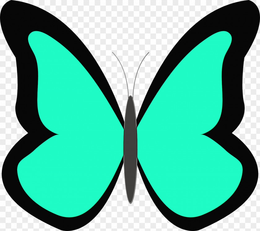 Butterfly Green Moths And Butterflies Wing Symmetry PNG