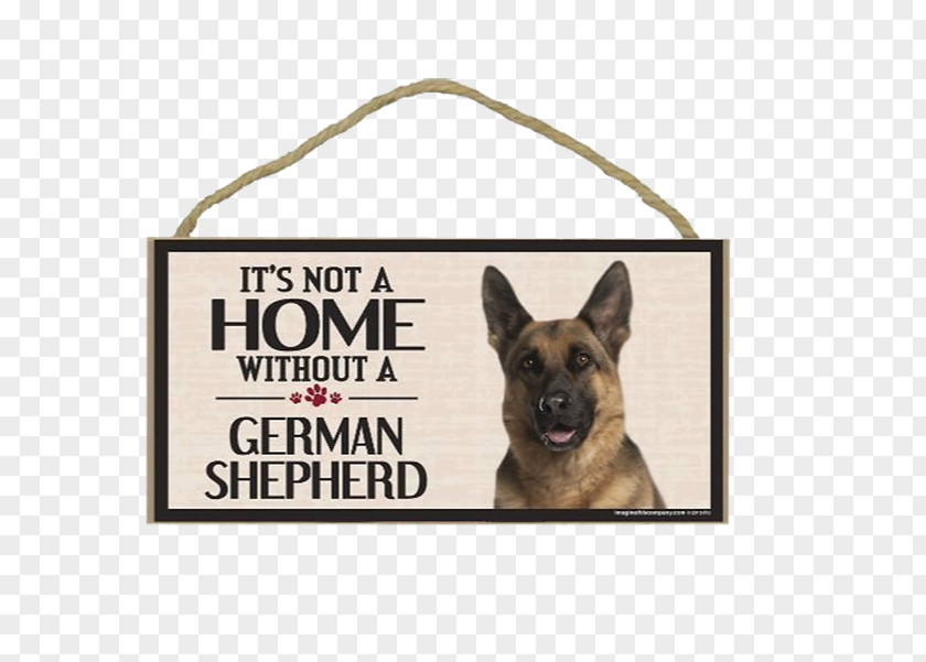 Cute German Sheppherd Shepherd Dog Breed Puppy Cairn Terrier PNG