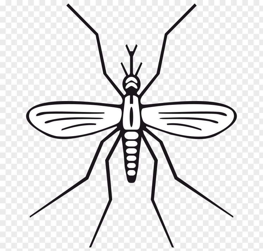 Do Not Disturb Clipart Mosquito Black And White Clip Art PNG