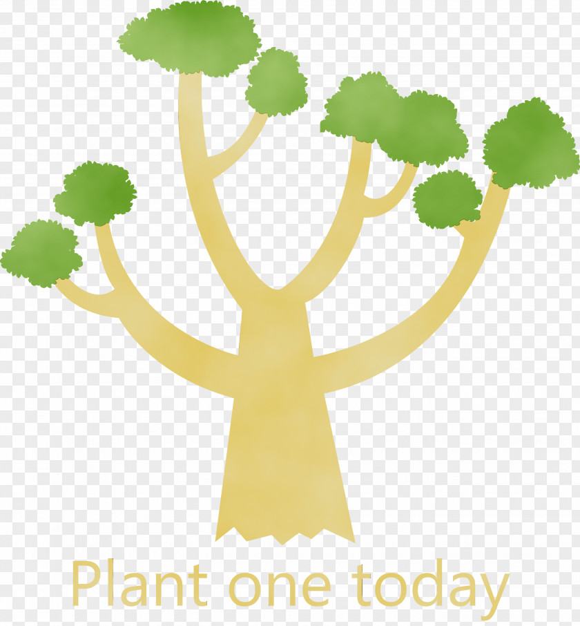 Leaf Plant Stem Meter Flower Green PNG