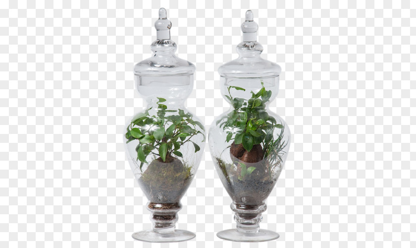 Mason Jar Vase Glass Flowerpot Houseplant PNG