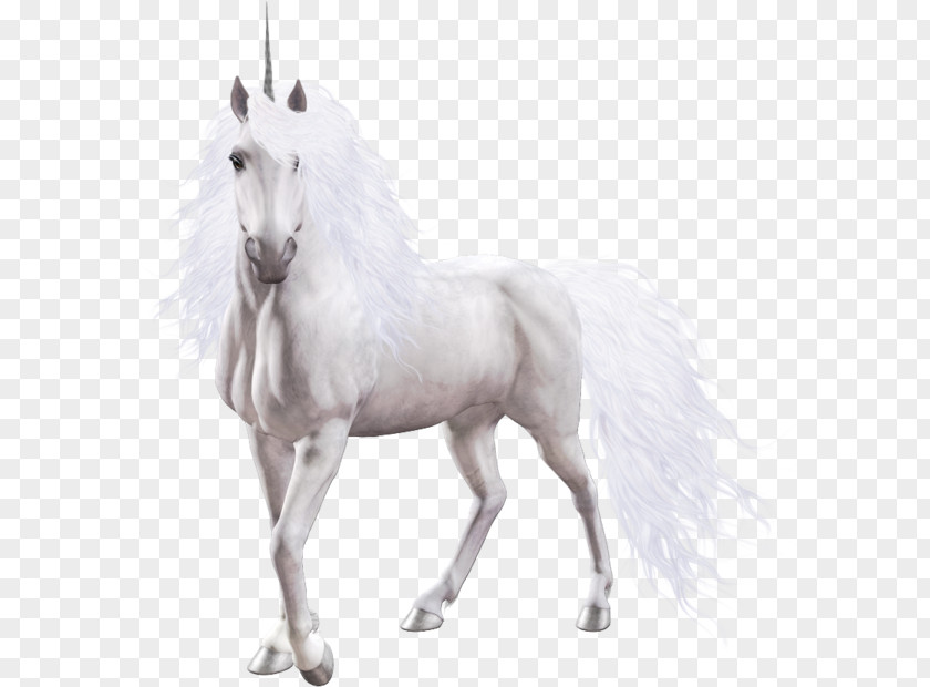 Unicorn Rarity Winged Twilight Sparkle PNG