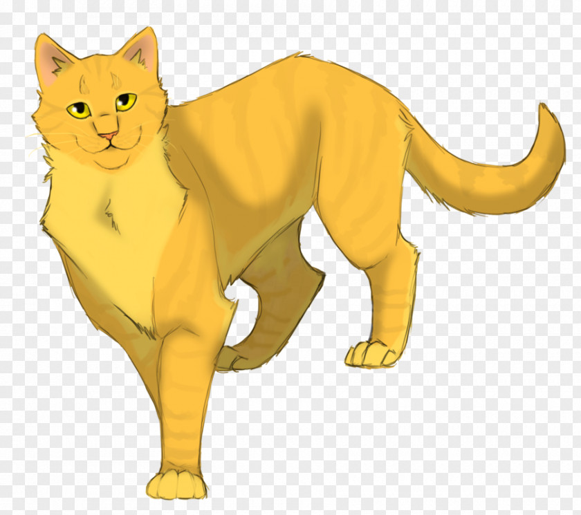 Cat Into The Wild Warriors ThunderClan Sunstar PNG