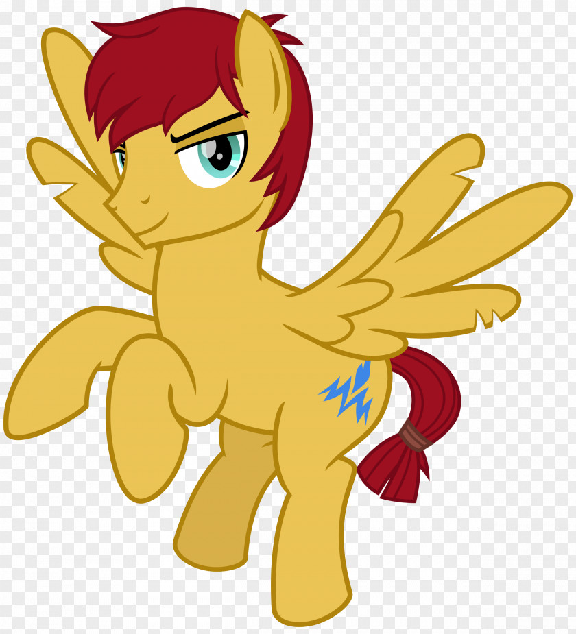 (corresponding Pony Rainbow Dash Flash Sentry Pinkie Pie Applejack PNG