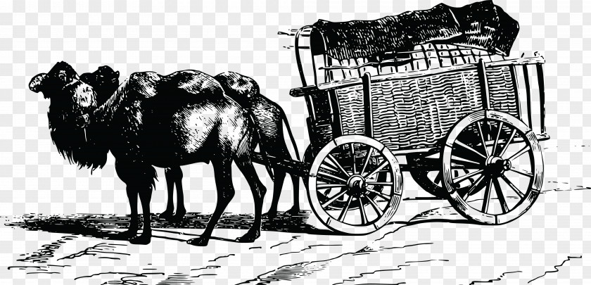 Horse Wagon Cart Clip Art PNG