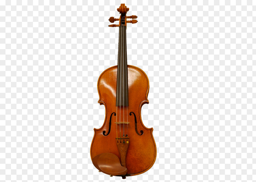 String Instruments Viola Musical Violin Cello PNG