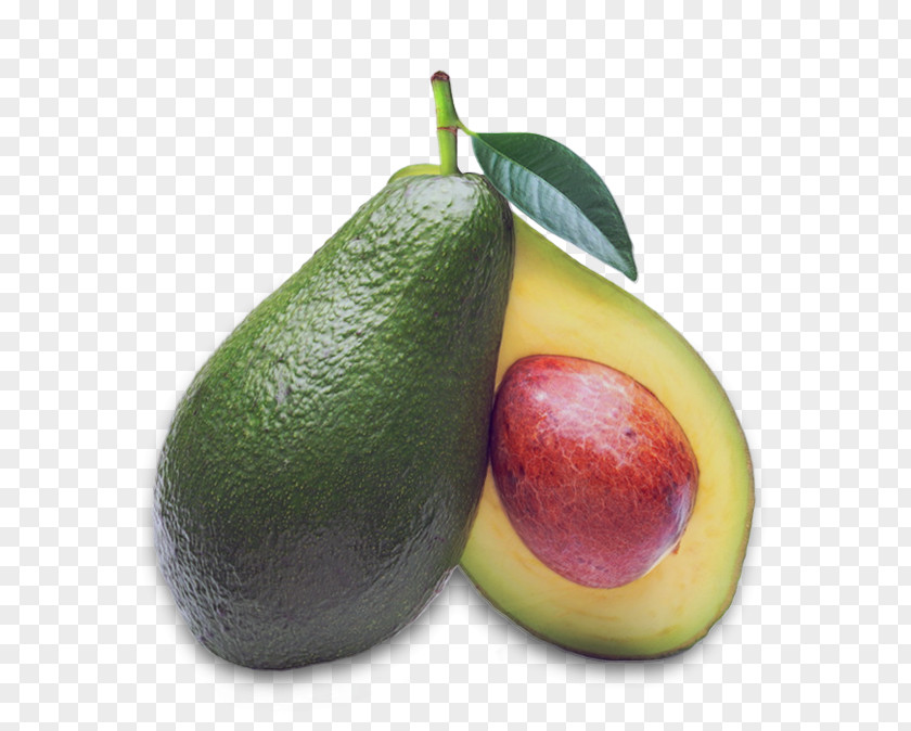 Tropical Fruit Avocado Food Fat Vitamin PNG