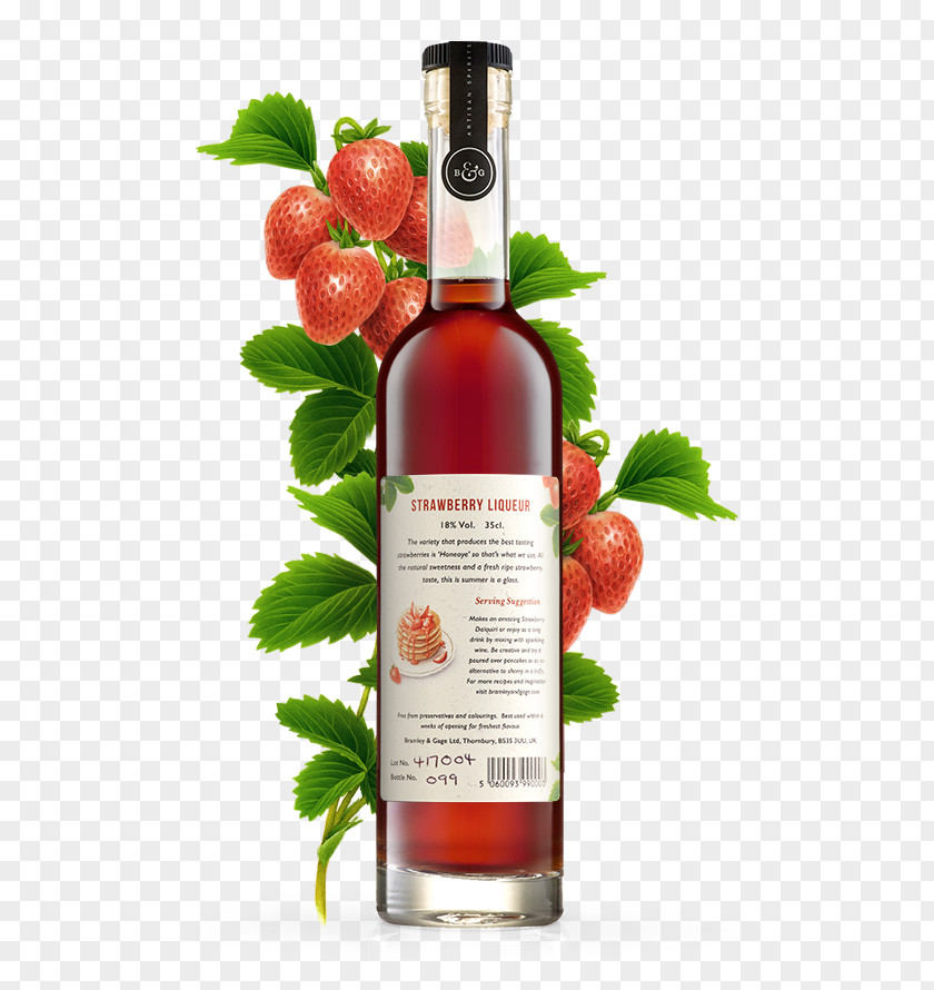 Wine Liqueur Piña Colada Cranberry Juice Cocktail PNG