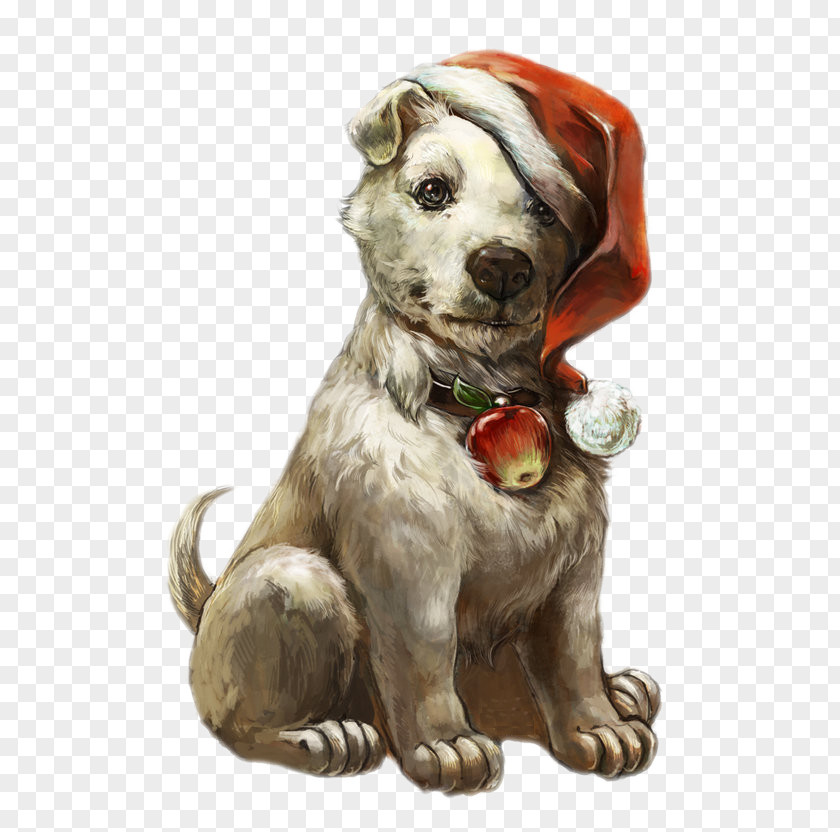 Dog Wearing Christmas Hats PNG