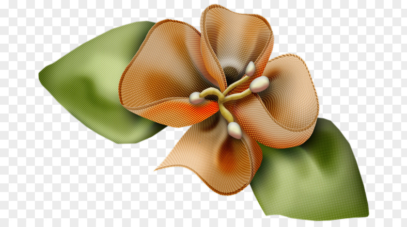 Flower Cut Flowers Artificial Bouquet Clip Art PNG