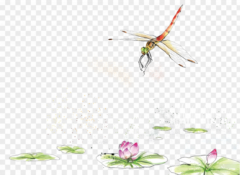 Hand Painted Watercolor Lotus Pond Dragonfly Decorative Pattern Painting PNG