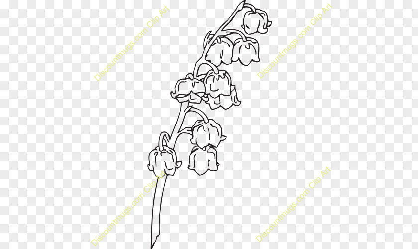 Lily Of The Valley Drawing Line Art PNG