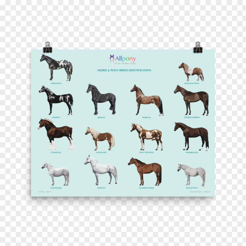 Poster Mockup German Shepherd Horse & Pony Breeds Puppy Shetland PNG