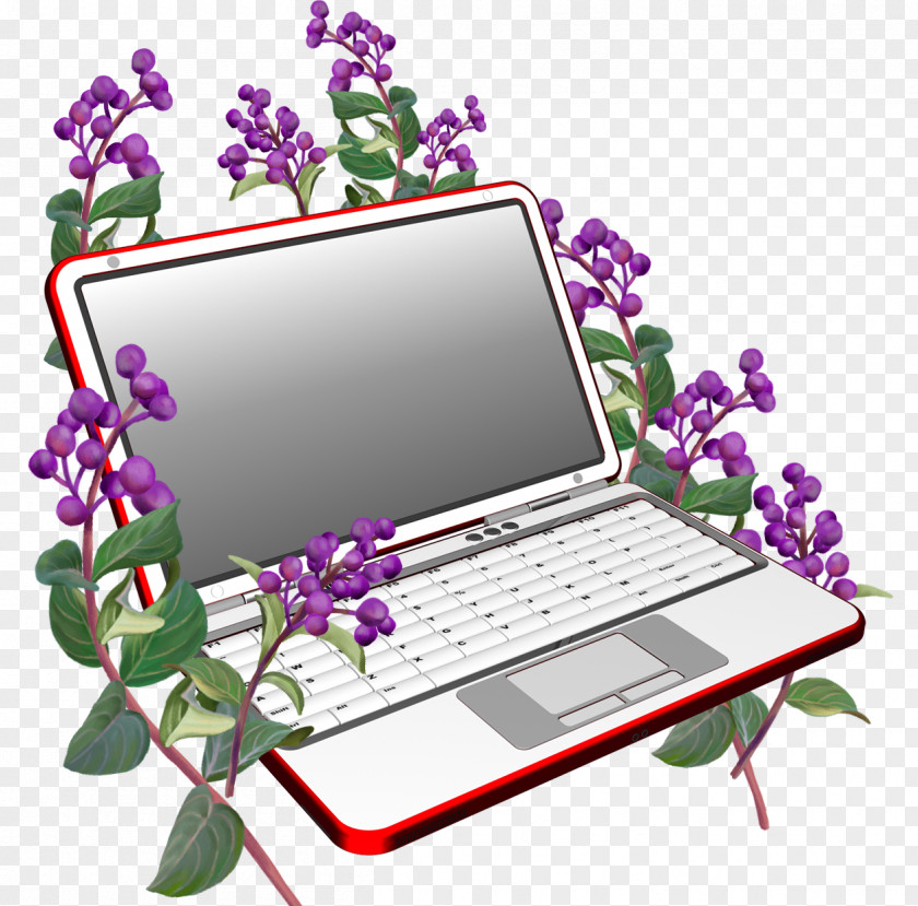 Real Laptop Stock Photography PNG