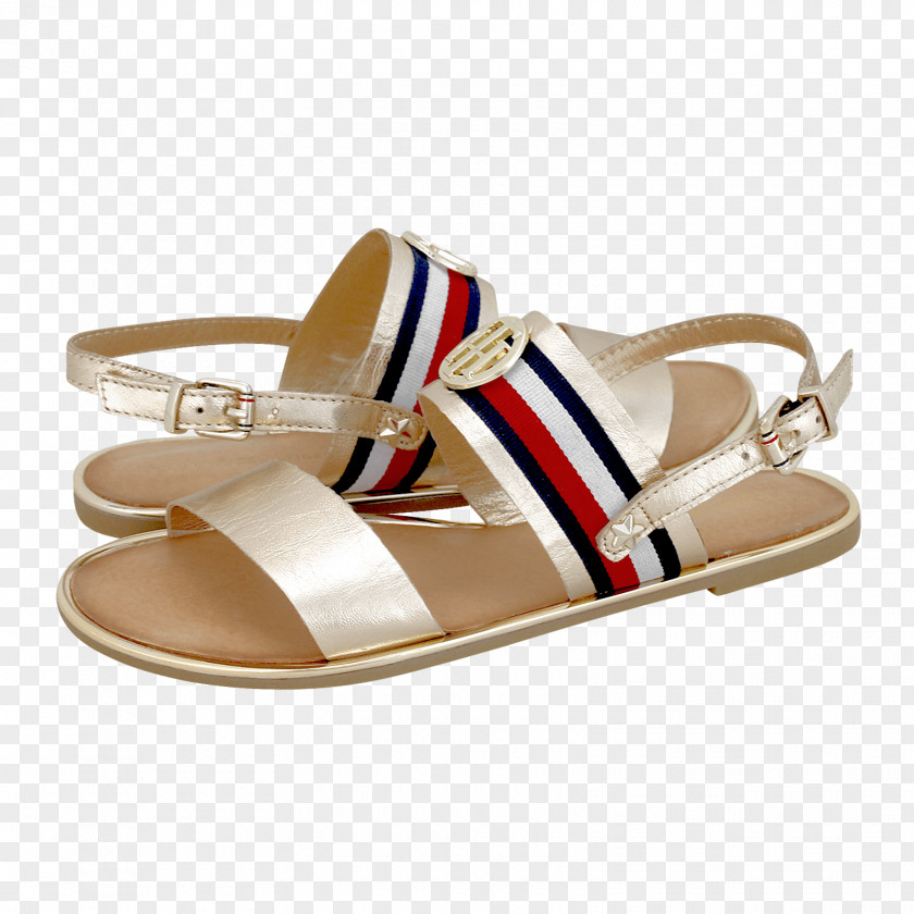 Sandal Slipper High-heeled Shoe Textile PNG