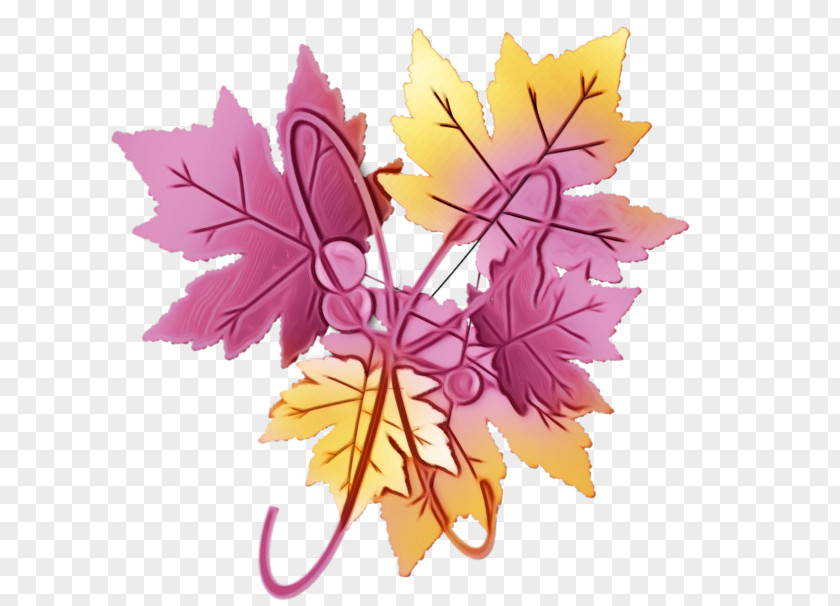 Vitis Maple Autumn Tree Silhouette PNG