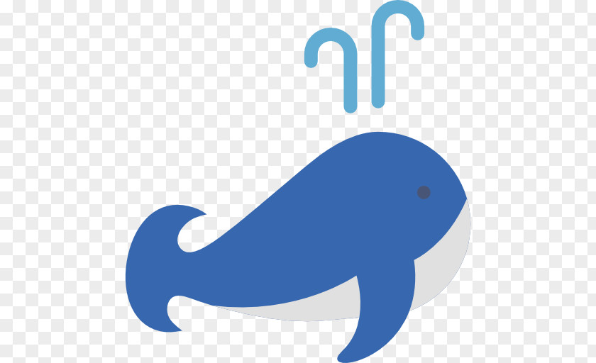 Whale Dolphin Animal PNG