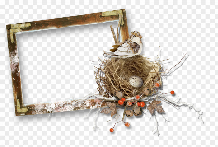 Wooden Nest Border Clip Art PNG