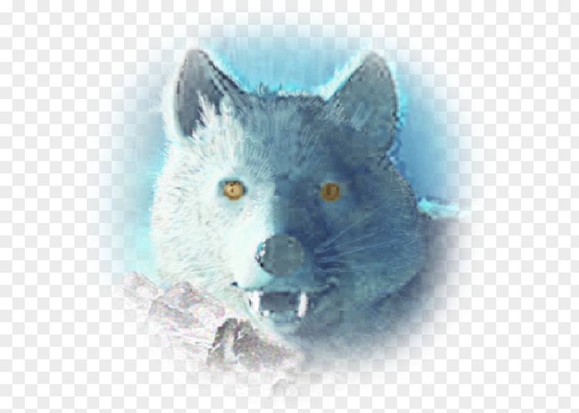 Arctic Fox Red Wolf Bear Rat PNG