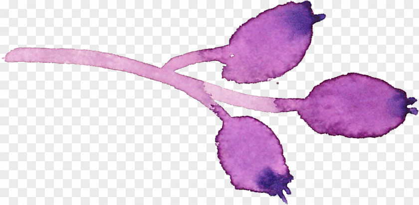 Gouache Purple Berries Watercolor Painting Flower PNG