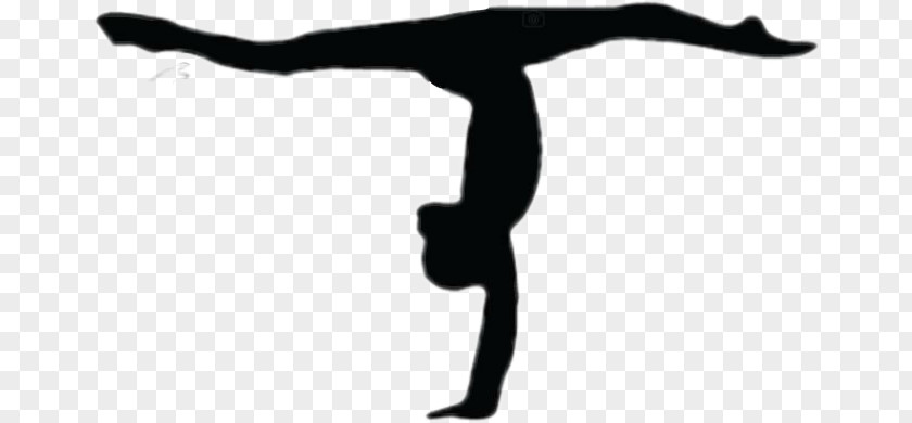 Gymnastics Artistic Handstand Tumbling PNG