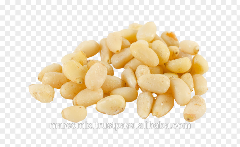 Pine Nut Food Stock Photography Shutterstock Image PNG