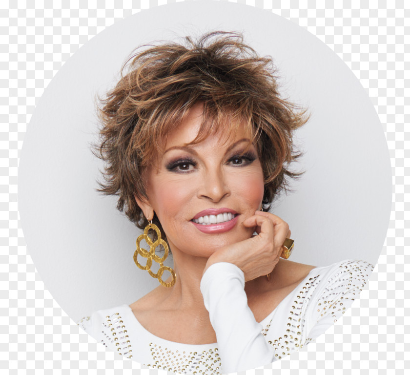 Raquel Welch Wig Hairstyle Fashion PNG