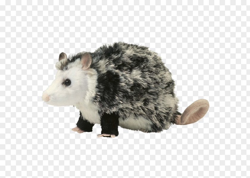 Toy Amazon.com Stuffed Animals & Cuddly Toys Plush Opossum Phalangeriformes PNG