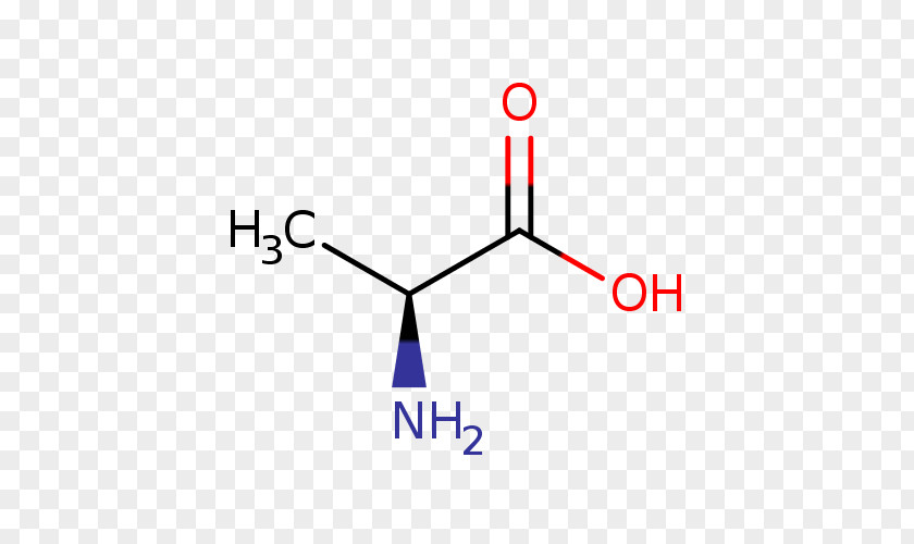 Chebi Lactic Acid Alanine Butyric Amino PNG