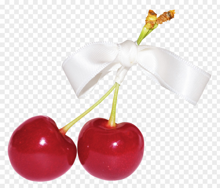Cherry Ribbon Bow Auglis Fruit PNG