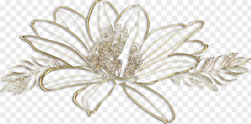 Gold Lace Jewellery Clothing Accessories Cut Flowers Silver PNG