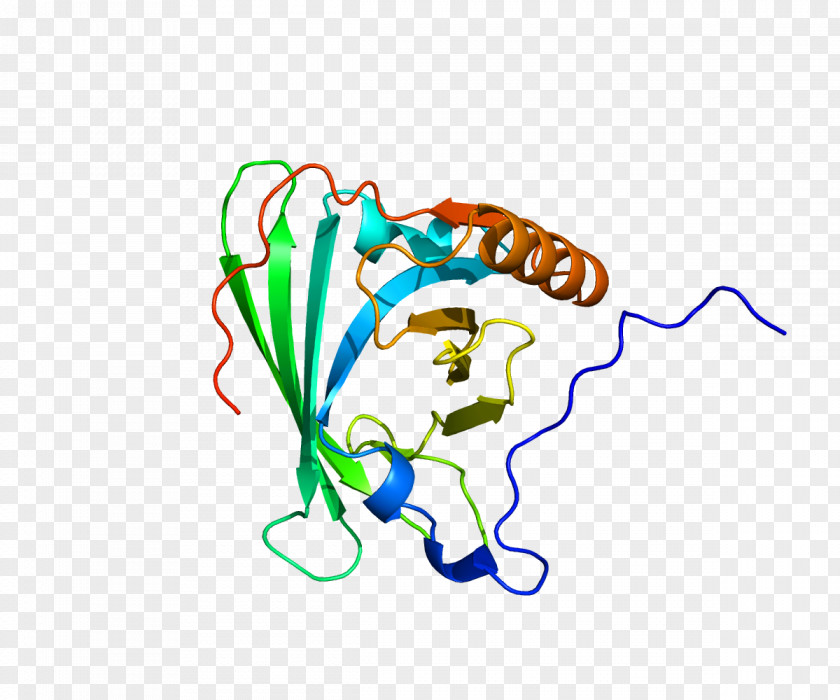 Hydrotherapy Detoxification Apolipoprotein E APOM PNG