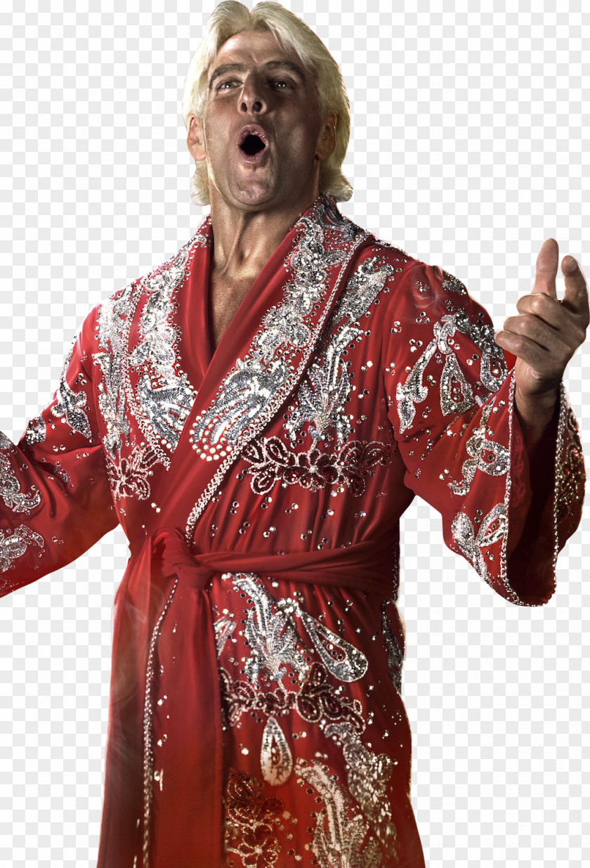 Ric Flair WWE 2K14 Raw Professional Wrestling PNG wrestling, stone cold clipart PNG