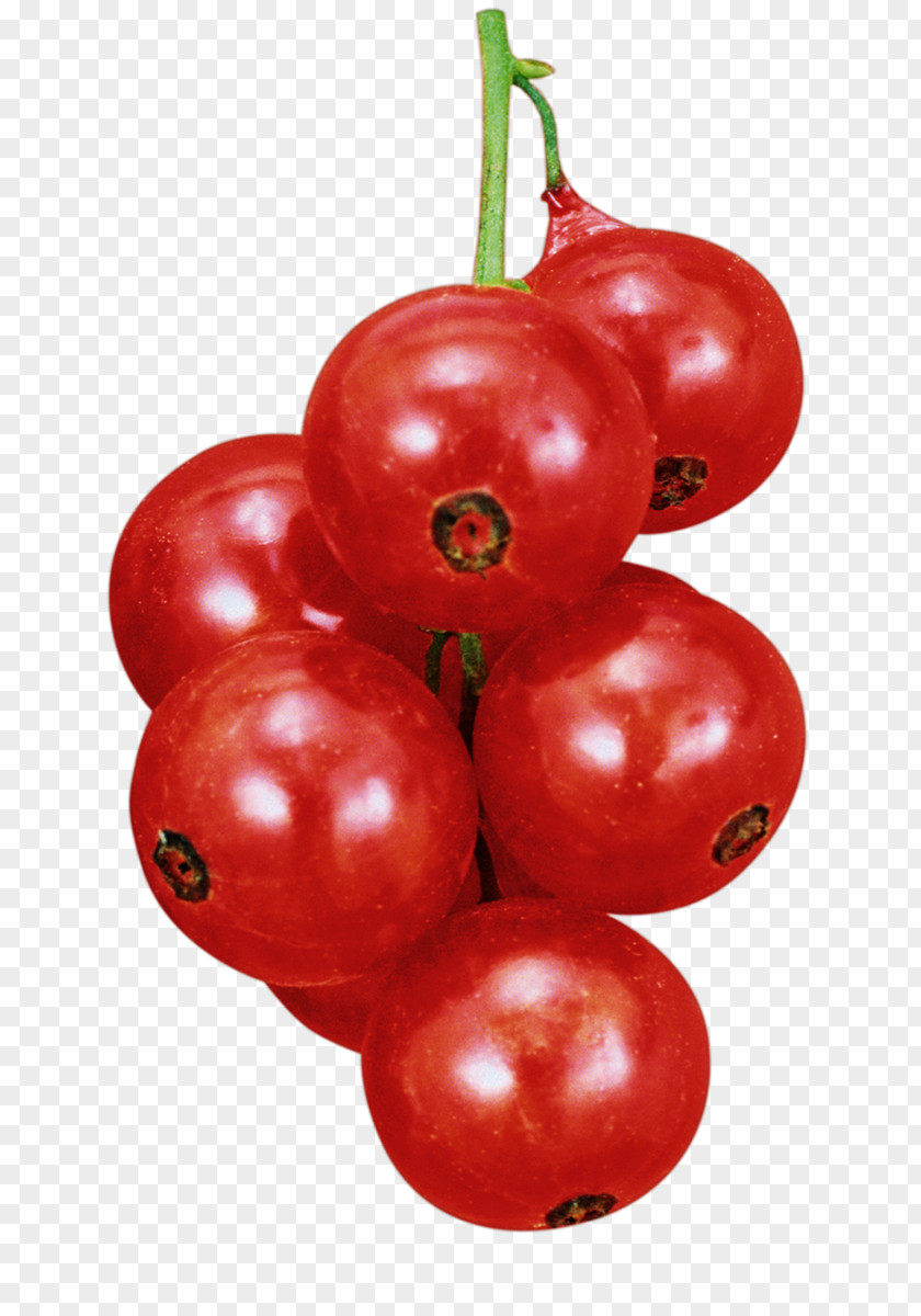 Tomato Plum Lingonberry Varenye Blackcurrant Accessory Fruit PNG