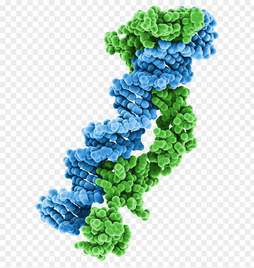 AveXis Gene Therapy NASDAQ:AVXS Spinal Muscular Atrophy PNG