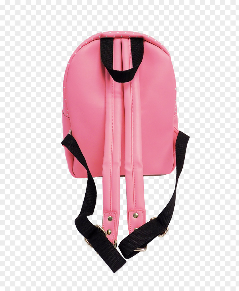 Backpack Adrien Agreste Plagg Marinette Miraculous Ladybug (Les Aventures De Et Chat Noir) PNG