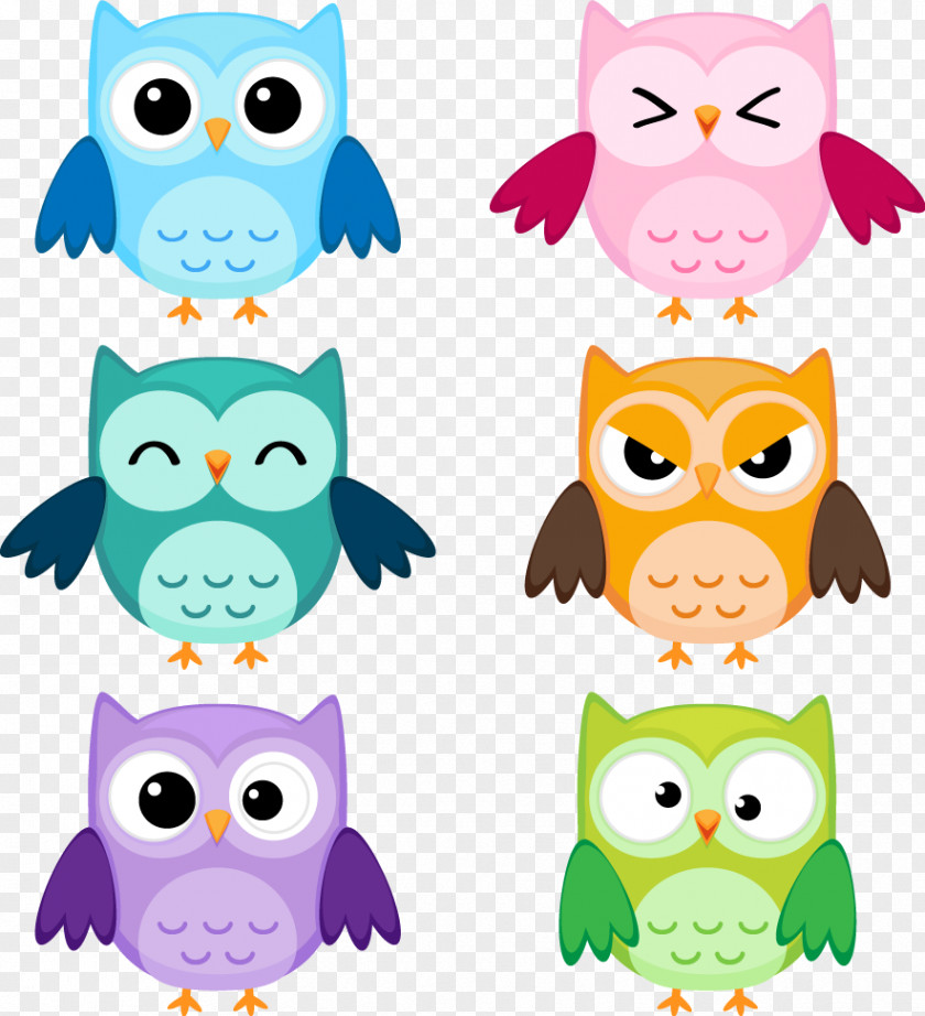 Brothers Sisters Creative Ltd Owl Vector Graphics Clip Art Image Illustration PNG