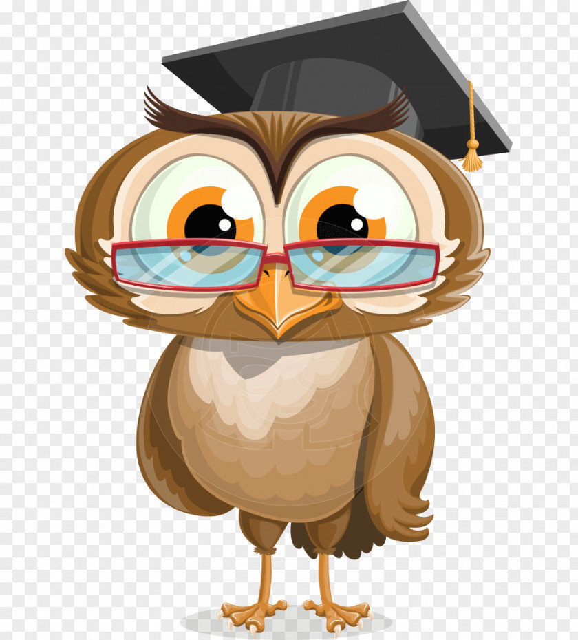 Graduation Gown Owl Ceremony Bird Cartoon PNG