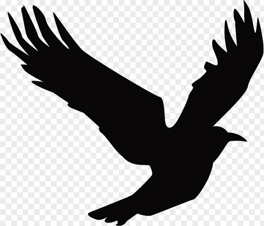 Hawk Golden Eagle Raven Halloween Crow PNG