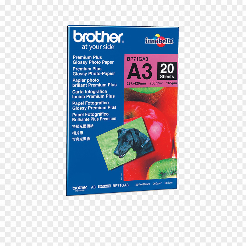 Inkjet Material A4 Premium Glossy Photo Paper Brother Industries Printing PNG