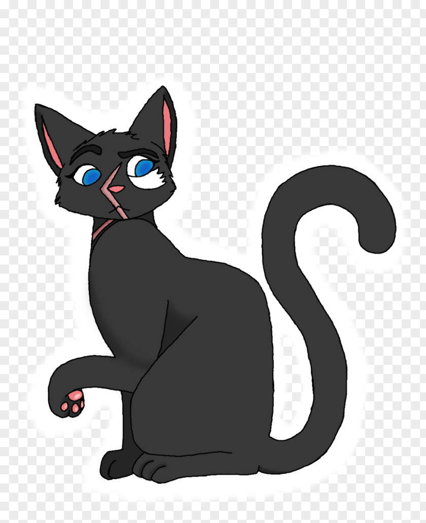 Kitten Korat Black Cat Whiskers Domestic Short-haired PNG