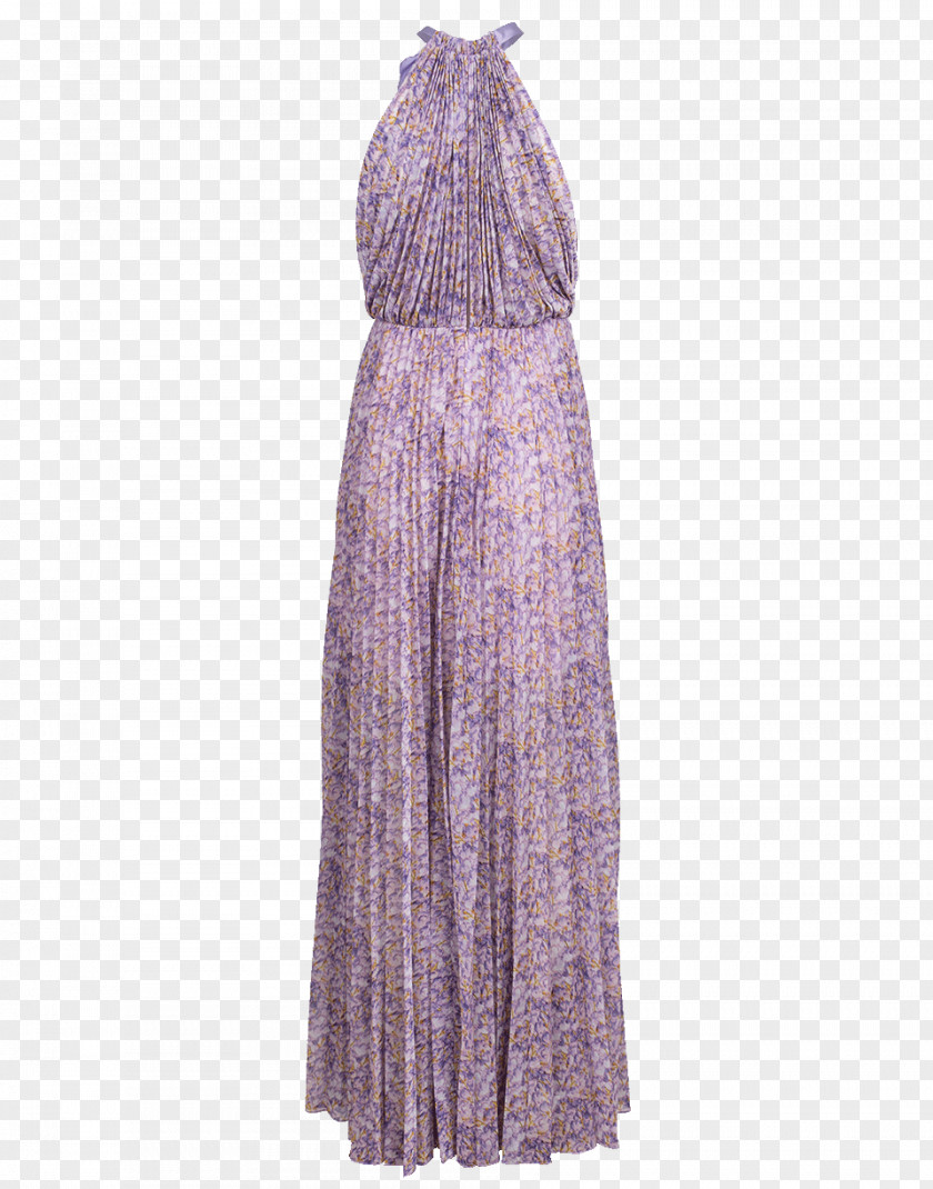Maxi Dress Pleat Neckline Gown PNG