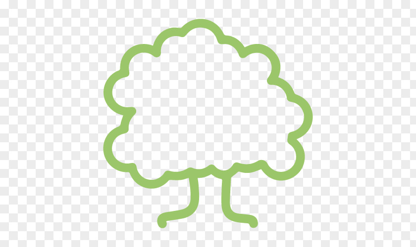 Tree Broad-leaved Oak PNG