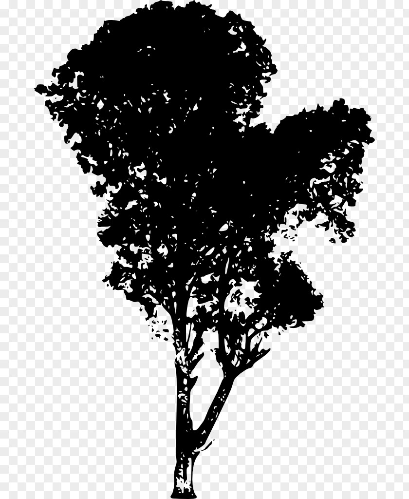 Tree Vector Silhouette Branch Desktop Wallpaper PNG